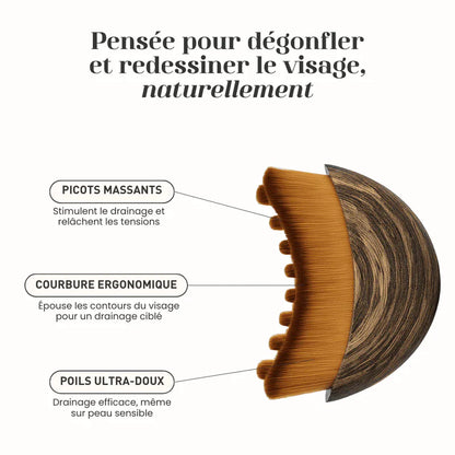 Orvani - Brosse de drainage lymphatique